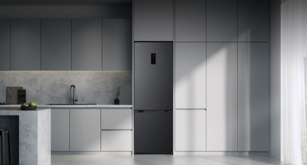 Холодильник LG GC-B509ETTM фото 2