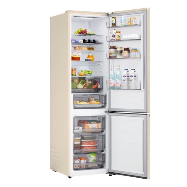 Холодильник LG GC-B509EETM фото 18