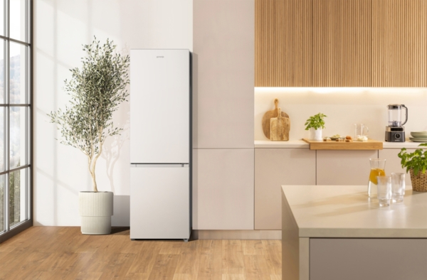 Холодильник Gorenje RK418DPW4I фото 3